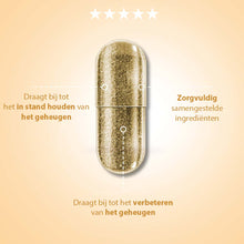 Afbeelding in Gallery-weergave laden, Brainsine draagt bij tot het in stand houden van het geheugen en onderhoudt een goede hersenfunctie*